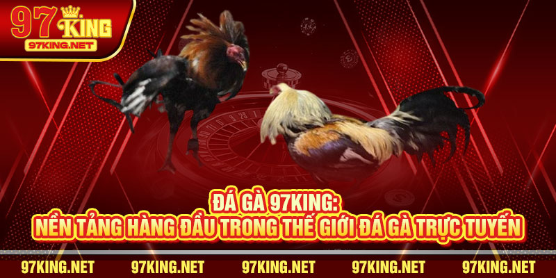 Đá Gà 97King: Nền Tảng Hàng Đầu Trong Thế Giới Đá Gà Trực Tuyến